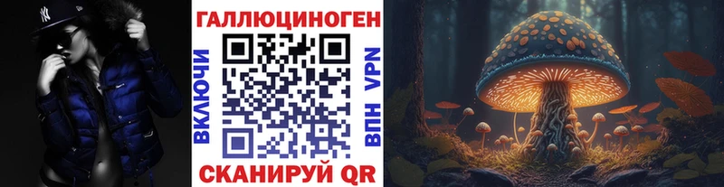 где продают   Арсеньев  Галлюциногенные грибы GOLDEN TEACHER 